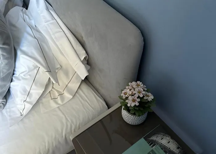 Apartment History Aveiro